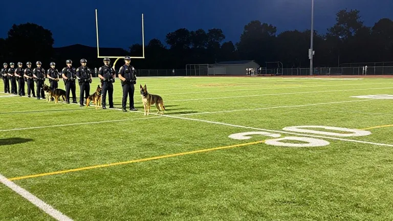 Illustration for: Sheriff deploys K-9s and mounts after clearing false threats